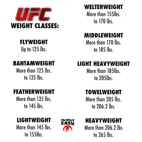 Understanding UFC Weight Classes 